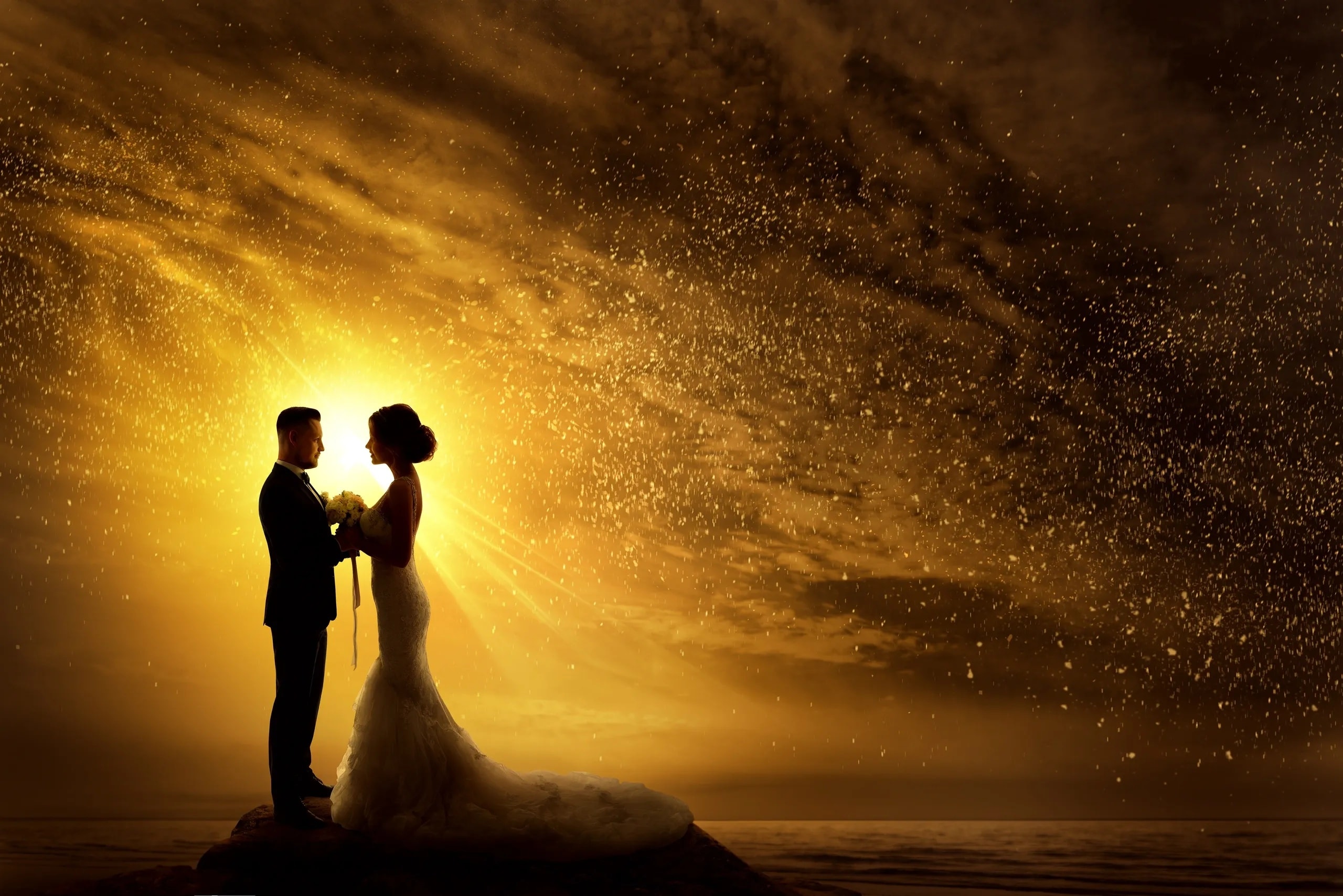 Portfolio photography by Hollywood Lights