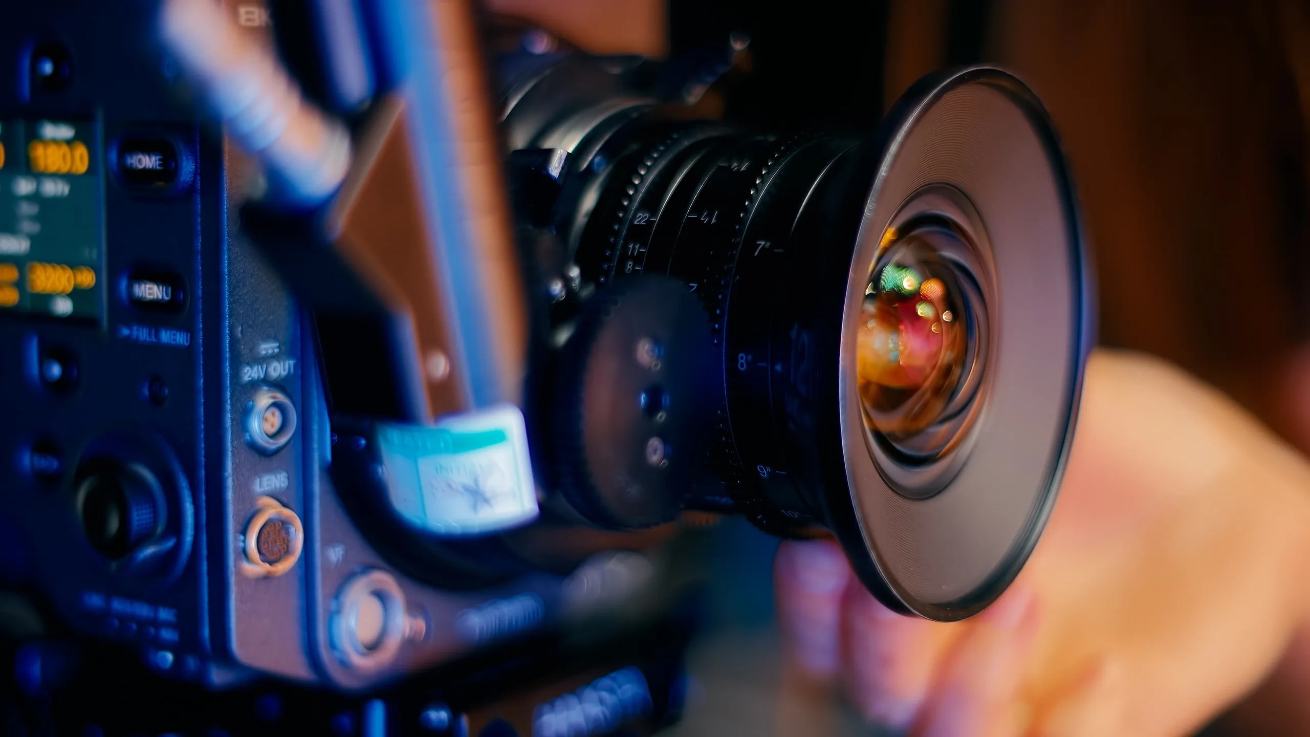 Portfolio photography by Hollywood Lights